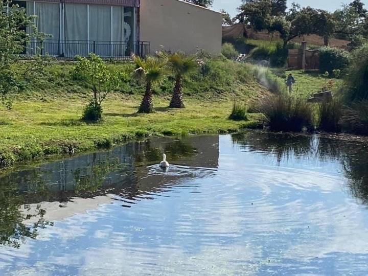 Complejo Rural El Prado Hotell Logrosán Eksteriør bilde
